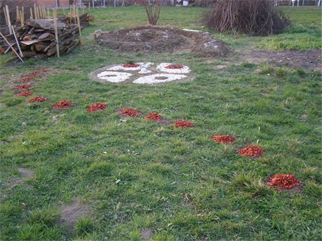 Spirale i krugovi